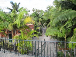 Сад Маркизы (Jardín de la Marquesa)