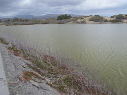 Озеро Маспаломас – Charca de Maspalomas