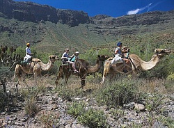Camel Safari Park La Baranda – Сафари на верблюдах Ла Баранда