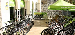 Free Motion Playa del Ingles, Прокат велосипедов, сервис, веломагазин, велоклуб.