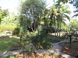Городской парк Арукас (Parque Municipal de Arucas)